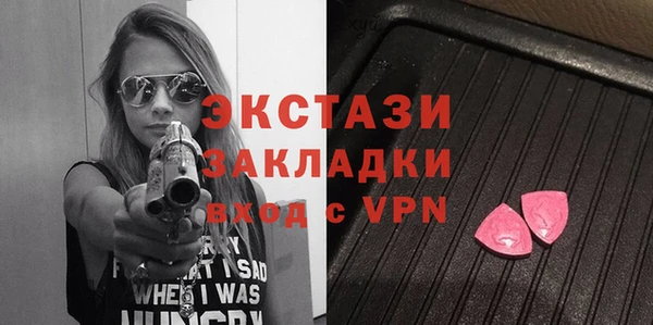 стаф Алзамай