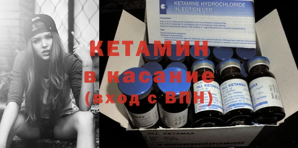 стаф Алзамай