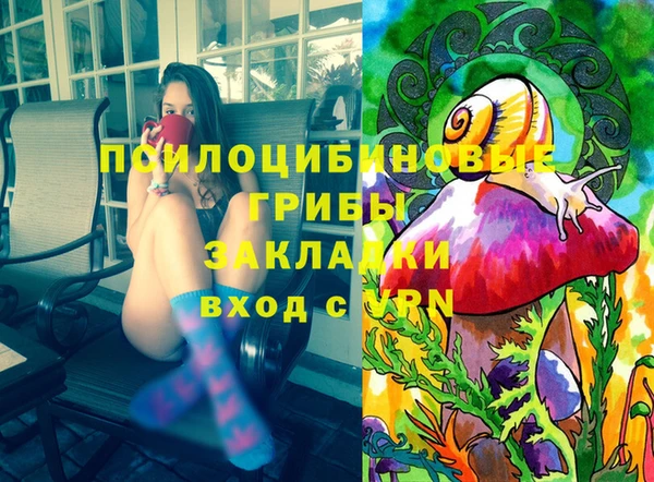 стаф Алзамай
