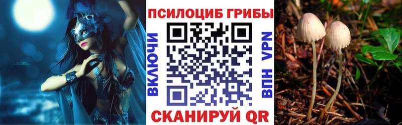 купить наркотики цена Сольцы Псилоцибиновые грибы Psilocybe